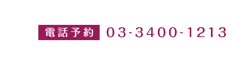 電話番号 03-3400-1213